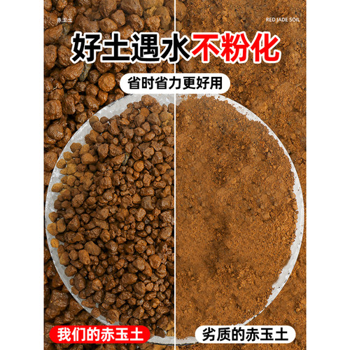 三本线赤玉土日本进口盆景专用硬质颗粒爬宠多肉铺面石扦插营养土 - 图1