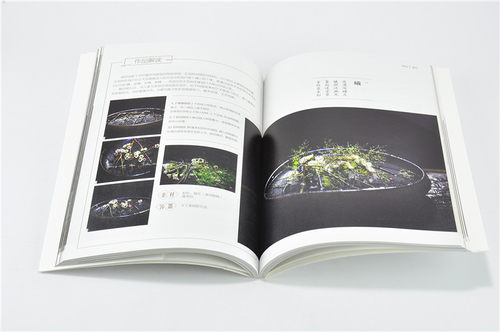 撒说 茶席插花 东方自然风插花系列9339花艺插花书鲜花妆花花艺礼盒中国林业出版社官方自营店正版畅销书 - 图2