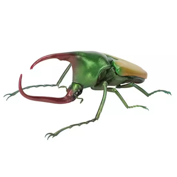 包邮 现货 万代 生物大图鉴 甲虫 9 扭蛋 独角仙 大兜虫 - 图0