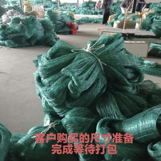 果园防鸟网果树樱桃葡萄防鸟用的网鱼塘天网大棚防护尼龙网养殖网