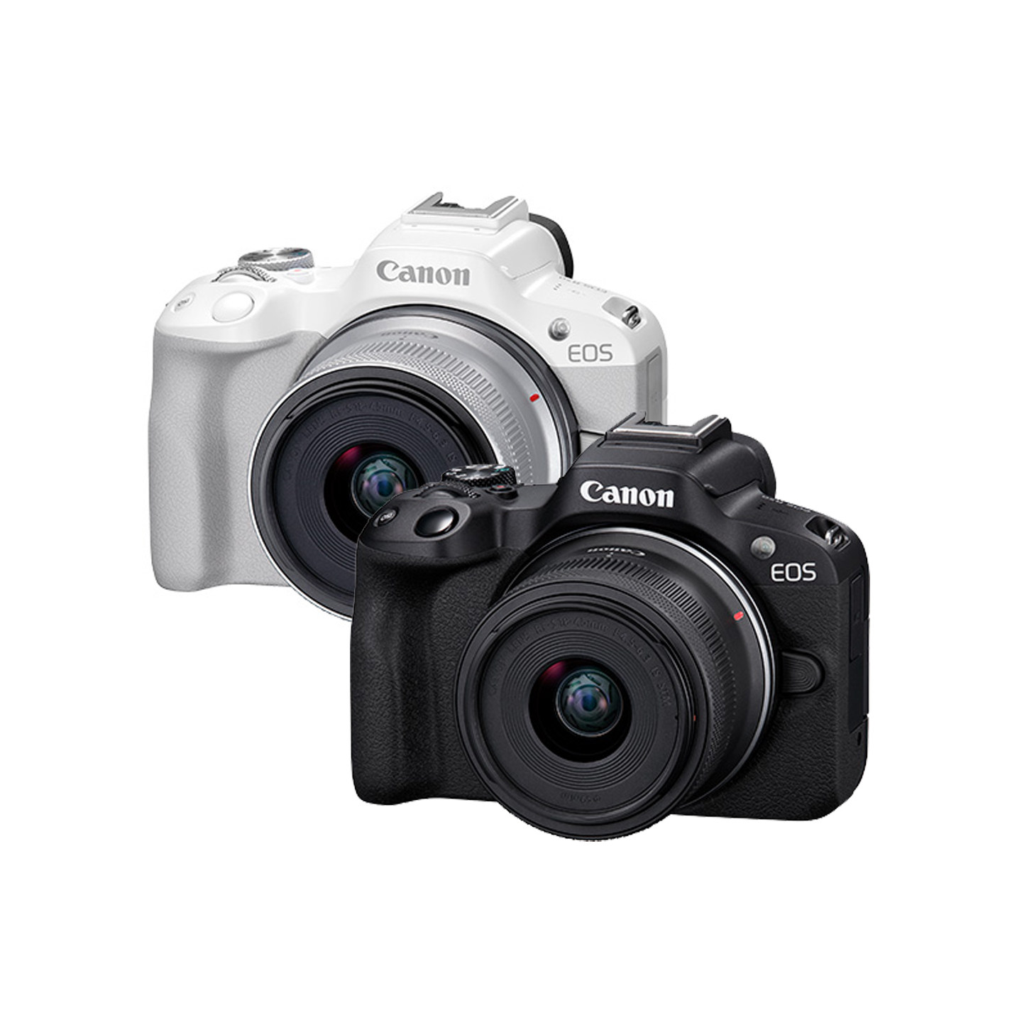 New Canon/Canon EOS R50 SLR camera