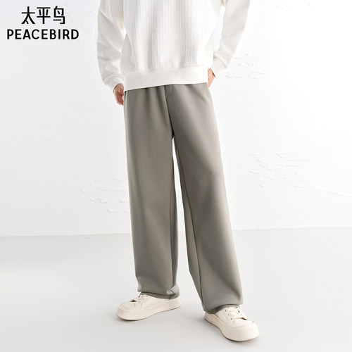 【商场同款】太平鸟男装休闲裤25秋季新款直筒卫裤潮 B1GF3439 - 图2