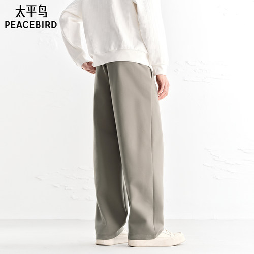 【商场同款】太平鸟男装休闲裤25秋季新款直筒卫裤潮 B1GF3439 - 图3