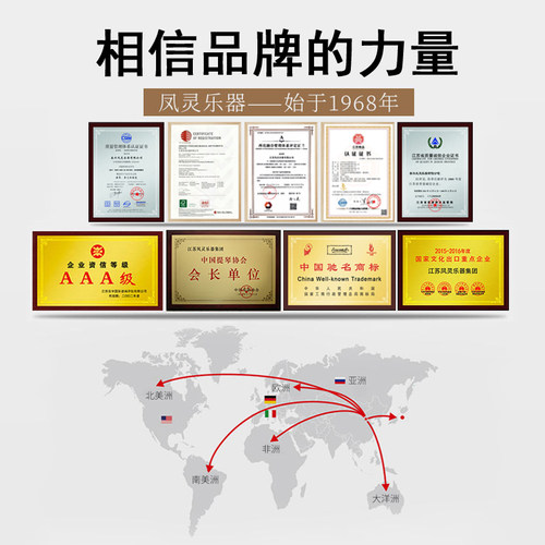 凤灵小提琴官方旗舰店演奏考级初学者手工琴儿童成人专业进阶F201 - 图1