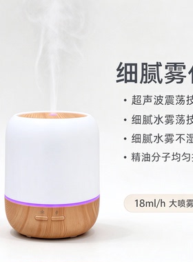 外贸出口小型100ml桌面超声波加湿器家用空气净化木纹香薰机静音