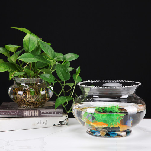 创意水培花器绿萝 花边生态透明 圆形玻璃 金鱼缸 乌龟缸  斗鱼缸 - 图1