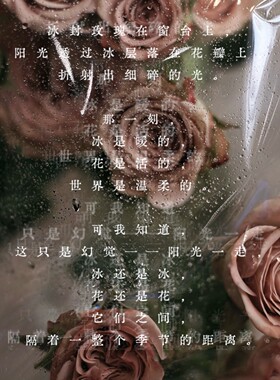 冰封玫瑰·极夜玫瑰香薰蜡烛