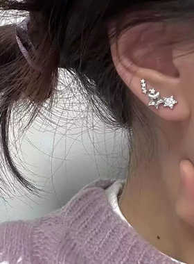 个性轻奢满天星耳钉气质锆石耳环女冷淡风小众ins设计高级感耳饰