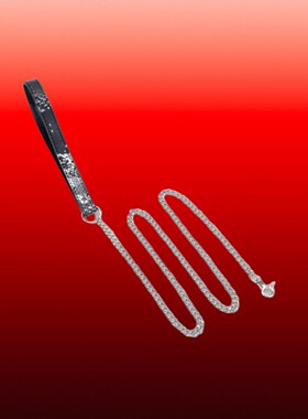 Aura Collar轻奢真皮黑蛇纹十字架小众朋克puppy牵引绳choker项圈