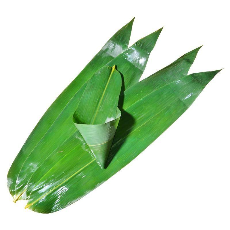 粽叶新鲜粽子叶免邮大号干家用竹叶包粽子的粽叶子特大码棕叶芦苇,淘宝优惠券,粉丝福利购,淘宝优惠卷