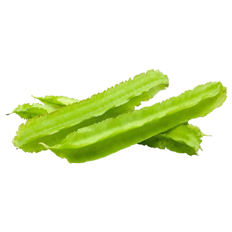 凌王F1四棱豆种子/种籽豆角苗 皇帝豆四角豆 高产四季蔬菜种苗孑,淘宝优惠券,粉丝福利购,淘宝优惠卷