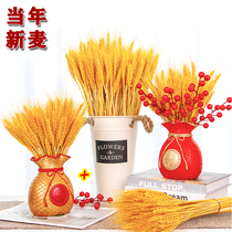 Natural Gold Wheat Ears Dry Flower Barley Bouquet Decoration Living-room Furnishing Golden Wheat Insert Vase Emulated Flower Pendulum