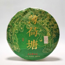 Dawn Star Fire Tea Factory 2020 Easy Takeover Mint Sugar Head Spring High Pole Ancient Tree Tea Pu-erh Tea Raw Tea Collection