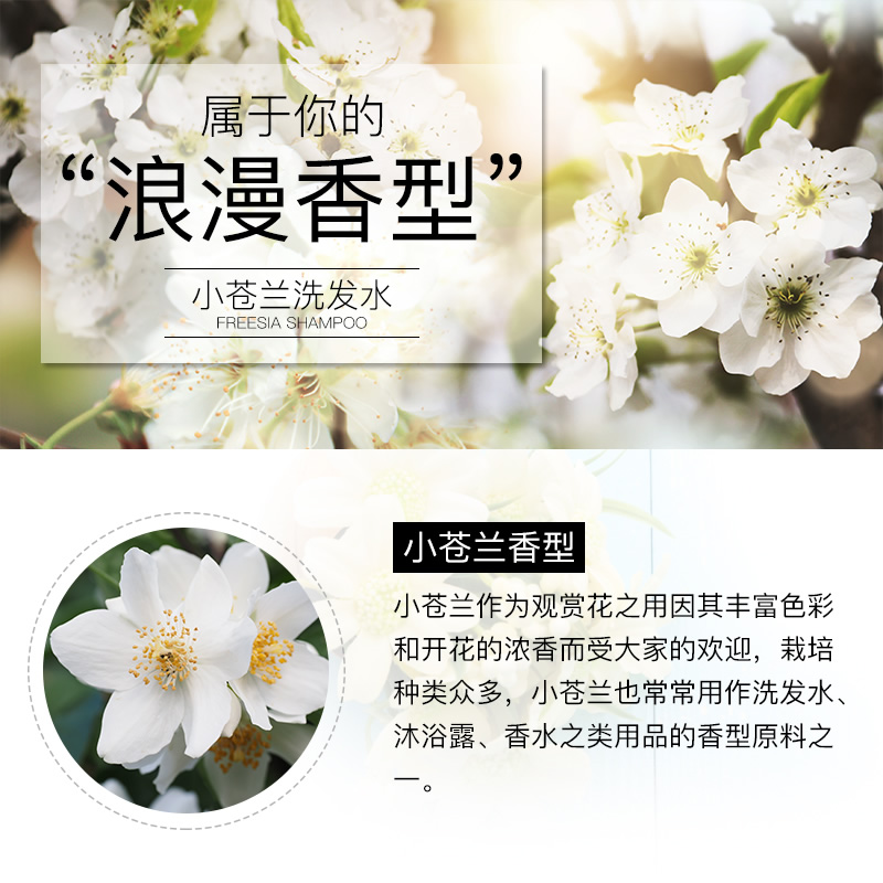 艾贝尔化妆品专营店小苍兰洗发水套装香味持久留控油去屑止痒正品女男沐浴露护发素膏1