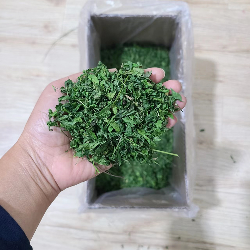 新烘干苜蓿草叶子兔子龙猫豚鼠干草饲料粮食牧草有些嫩杆毛重2斤 - 图0