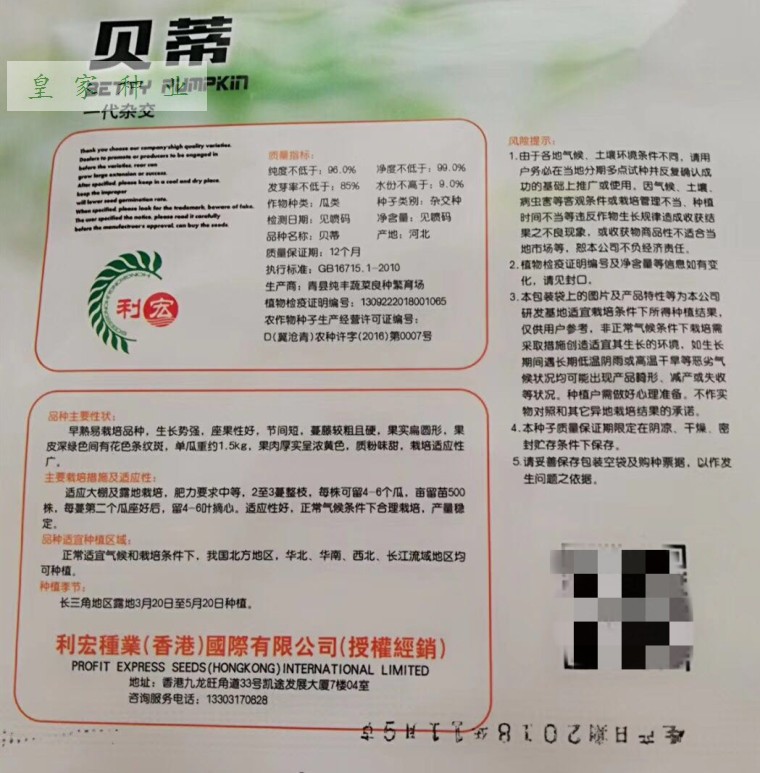 贝蒂南瓜种子贝亚特迷你贝贝小南瓜种子早熟易栽高产瓜果南瓜种子-图0