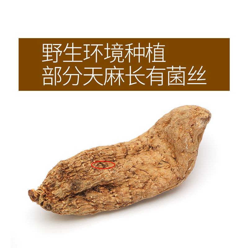 本珍四川青川野生产地种植超天麻 BeDr本珍天麻