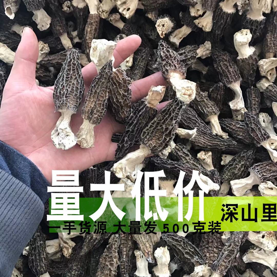 深山里羊肚菌干货500g 大份量装云南香格里拉野生煲汤食材农产品
