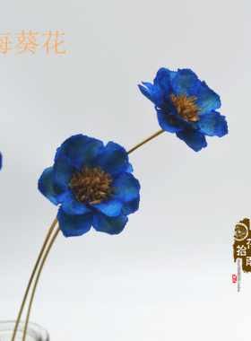 仿真花手工干花海葵花餐桌花家居装饰花假花摆件仿真饰品道具花