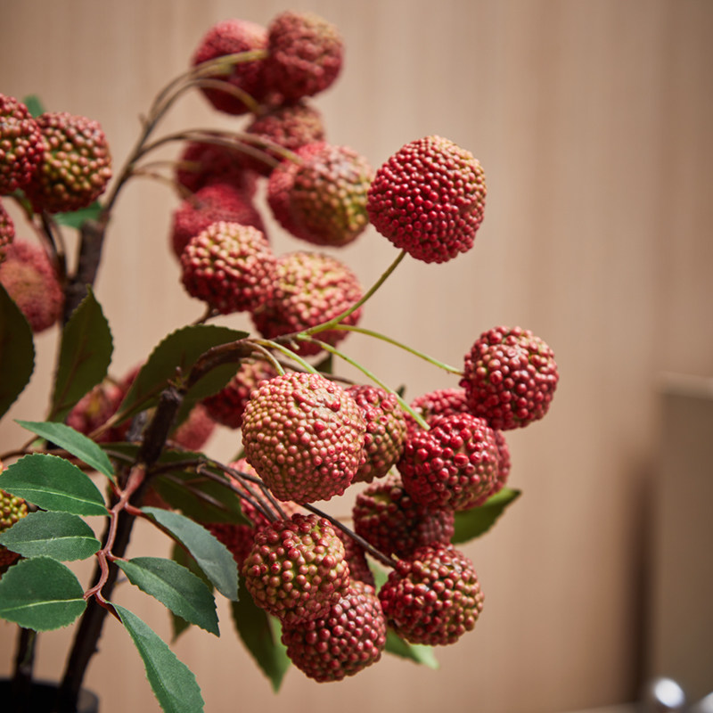 高端送人仿真寓意励志礼品花室内仿生粉红荔枝果树枝假花装饰摆件,淘宝优惠券,粉丝福利购,淘宝优惠卷