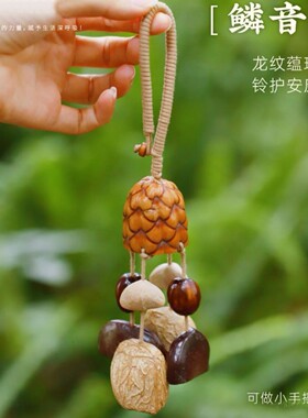 果实摇铃天然果壳包包挂件风铃手工植物豆荚背包车挂生日礼物朋友