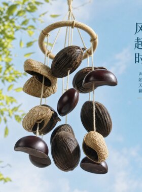 栖风植物果壳铃手摇铃风铃种子果实铃铛音乐治愈音疗小众礼物送礼