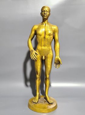 铜穴位人复古怀旧医院针灸人