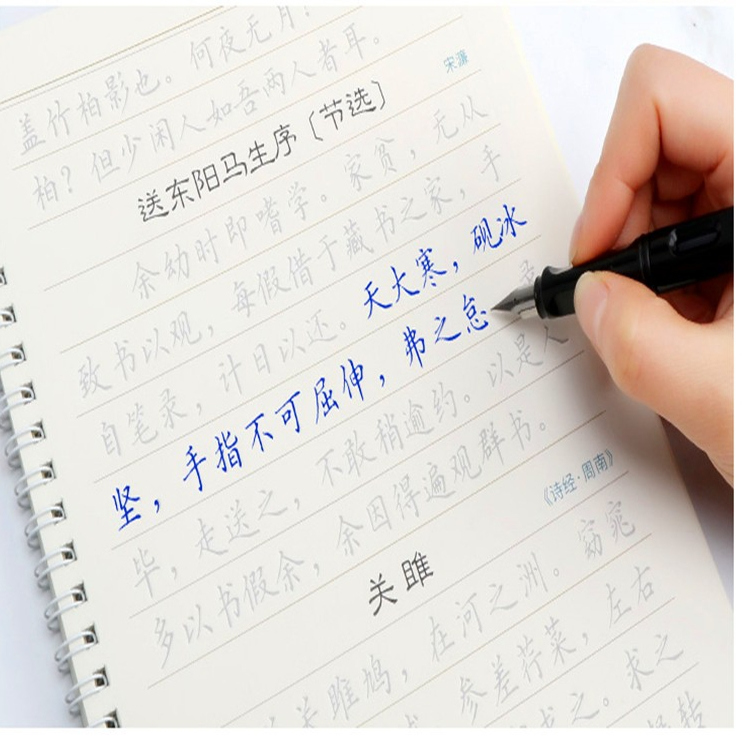 自动消失退色墨囊墨水褪色钢笔可换囊凹凸槽练字贴板专用神奇魔笔 - 图1