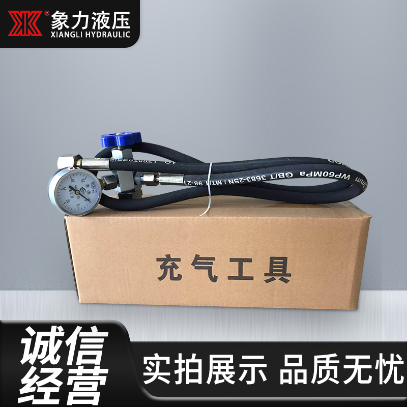 现货液压蓄能器CQJ-25剪板机充气工具 剪板机充氮工具 充气阀25Mp - 图0