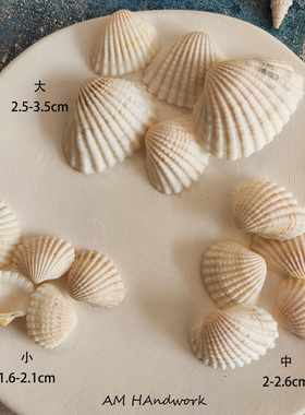 天然海星贝壳海螺海胆壳海洋景观装饰品幼儿手工diy鱼缸标本摆件