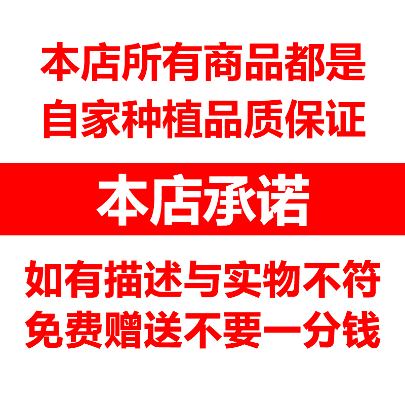 2023东北小绿豆新货发芽农家自产皮薄发绿豆芽汤粥材料绿豆糕原料 - 图2