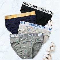 Teen Pure Cotton Briefs Boy Thin 18 18 Years 15 Junior High School Students High School Big Boy 16 All Cotton Triangle Pants Summer 17