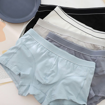 Mens underwear pure color male Modale cotton winter full cotton breathable four-corner pants No marks loose and comfortable flat corner pants man