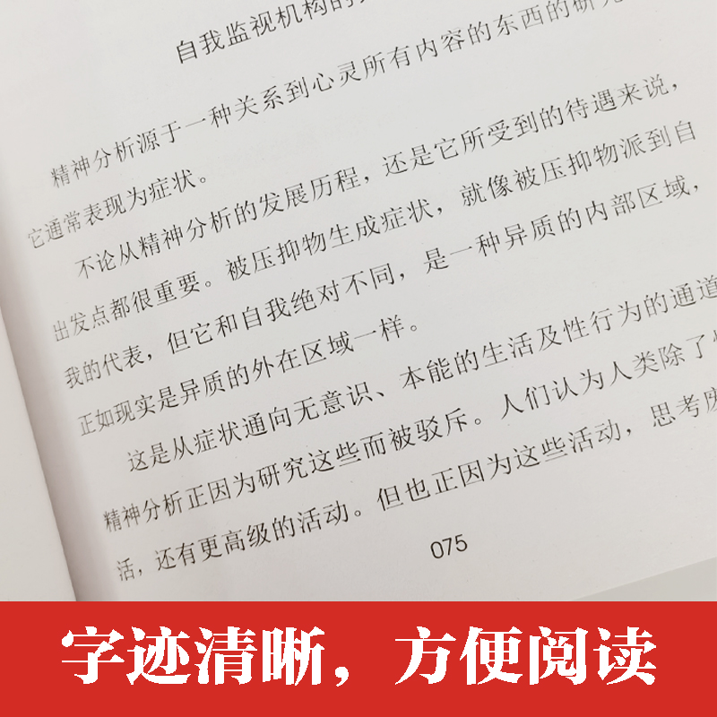 灵魂与身体总有一个在路上正版弗洛伊德的精神分析哲学外国小说经典文学名著阿德勒叔本华荣格卢梭尼采等精神分析哲学心理学书籍-图2