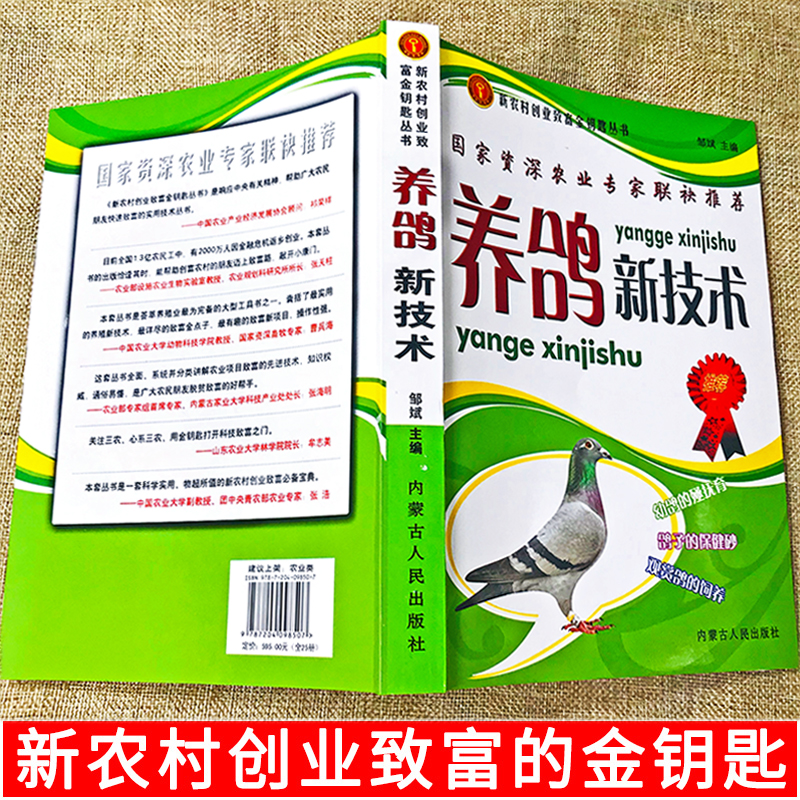 正版养鸽新技术鸽子养殖技术书大全书籍鸽子常见病防治养鸽设备饲料配比疾病鉴别诊断治疗方法肉鸽观赏鸽幼鸽养殖科学饲养管理技巧 - 图2