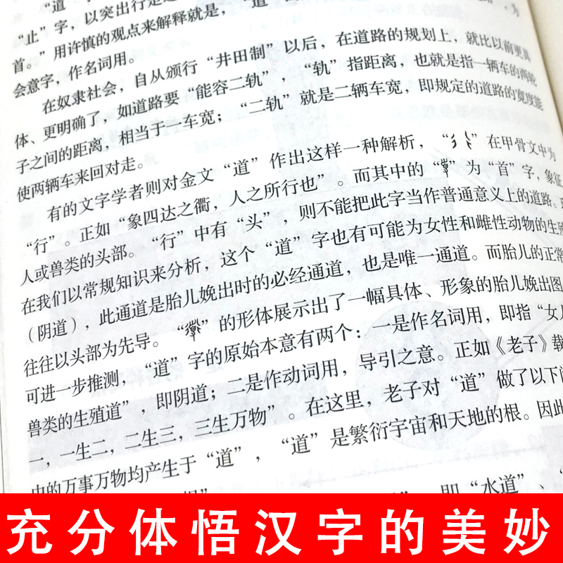 正版图解说文解字古代汉语说文解字注认知语言学象形文字汉语史稿汉字的演变语言与文化中国字中国语言学史分析字形字源的文学著作 - 图2