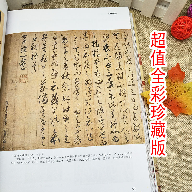 正版全彩珍藏版中国书法与绘画全书书法绘画历史概论技法毛笔字教材国画技法基础入门教程工笔画写意画历代名家书法绘画作品鉴赏 - 图1