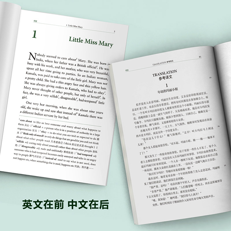 书虫系列英语阅读入门级一级二级三级四级五级六级适合小学初中高中大学英汉双语阅读书轻松英语名作欣赏如何学好英语英语用法指南