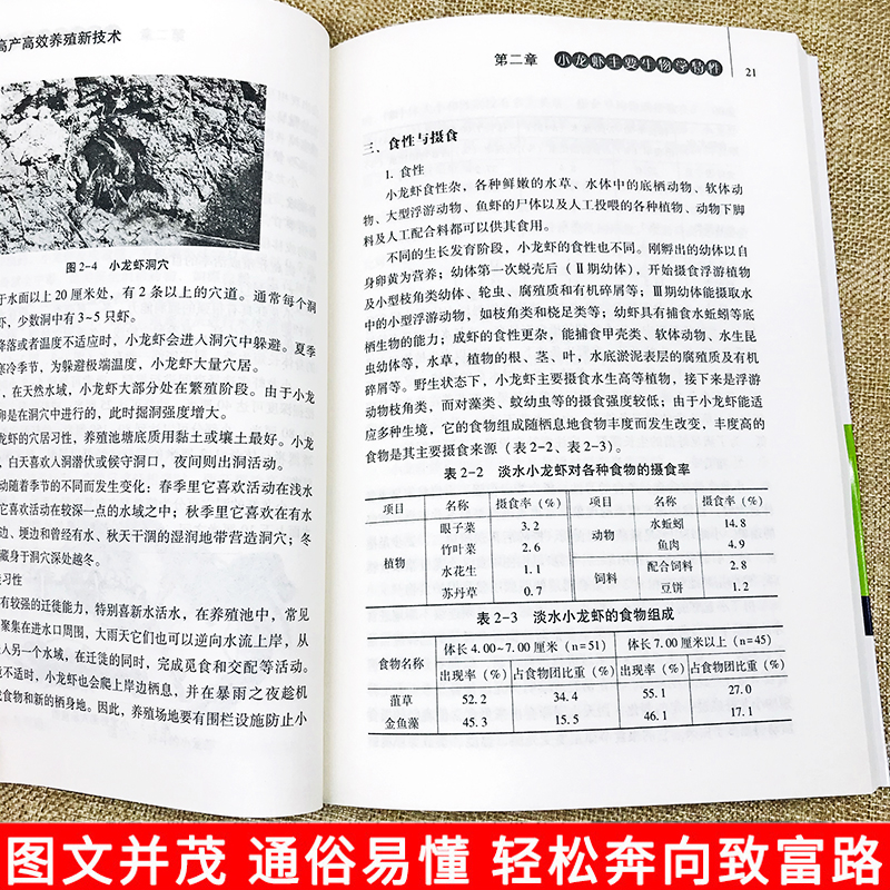 正版小龙虾高产高效养殖新技术科学生态化饲养管理疾病鉴别诊断图谱及治疗产后护理营养学饲料配方大全淡水产南美白对虾养殖技术书 - 图0