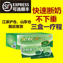 Free Wheat Meta back Milk Tea Break Milk Tea Easy Back Milk Soup No Pain Weaning Back Milk Back Milk Treasure Chest Instrumental big malt Milk Withdrawal