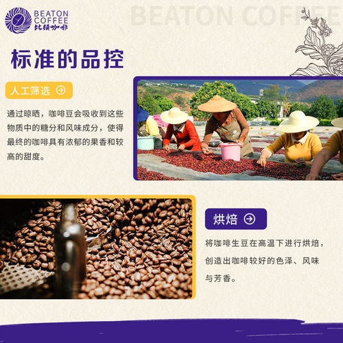 比顿咖啡 云南铁皮卡咖啡豆手冲新鲜磨粉中度烘焙227g - 图2
