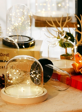 带灯手办底座防尘罩永生花