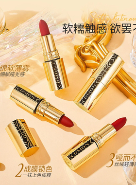DMDN口红不掉色不粘杯防水哑光柔雾唇膏不沾口罩口红正品电商爆款
