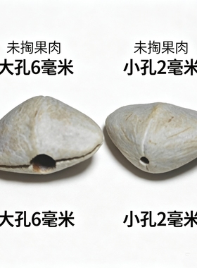 夹竹桃通货厂家批发。果壳风铃便宜打孔已淘果肉