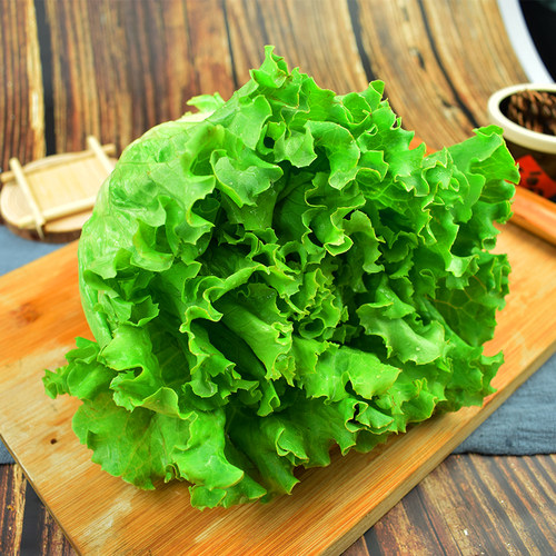 罗莎绿生菜250g 绿叶花叶生菜散叶生菜  西餐色拉沙拉蔬菜食材 - 图0