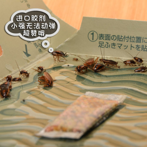 【5枚装】日本进口安速EARTH小强恢恢蟑螂屋诱捕器杀药贴环保 - 图3