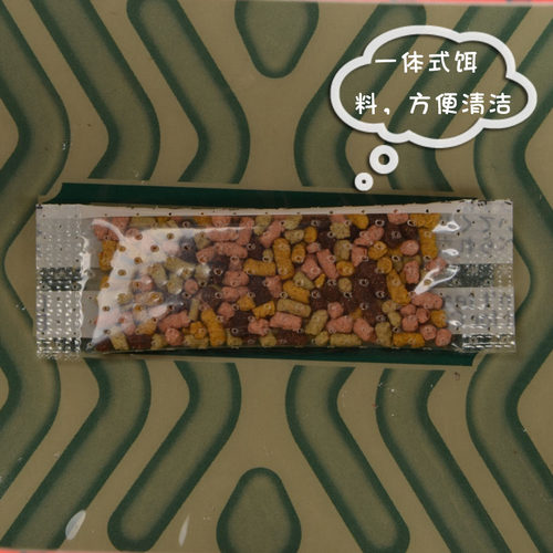 【5枚装】日本进口安速EARTH小强恢恢蟑螂屋诱捕器杀药贴环保 - 图1