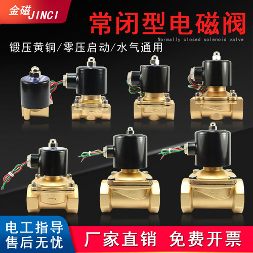 电磁阀常闭全铜4分水阀24V进水电动阀水管铜线开关电磁控制阀220V - 图0