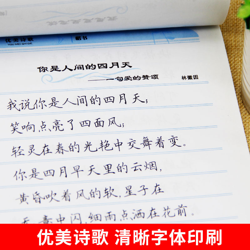 田英章书字帖硬笔练字帖正楷书男生练字帖成年手写女生成人钢笔字帖楷书大学生书法临摹名家散文名人名言诗 - 图2