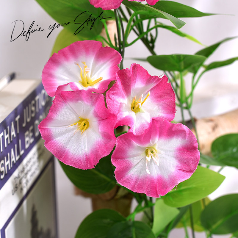 仿真藤条牵牛花绿萝叶装饰假树叶绿藤塑料花藤水管道遮挡空调绿叶,淘宝优惠券,粉丝福利购,淘宝优惠卷